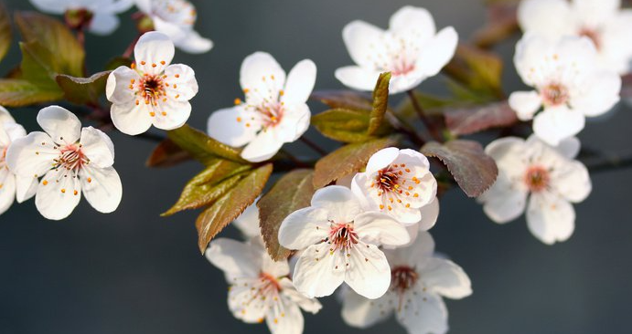 心旷神怡的意思是什么