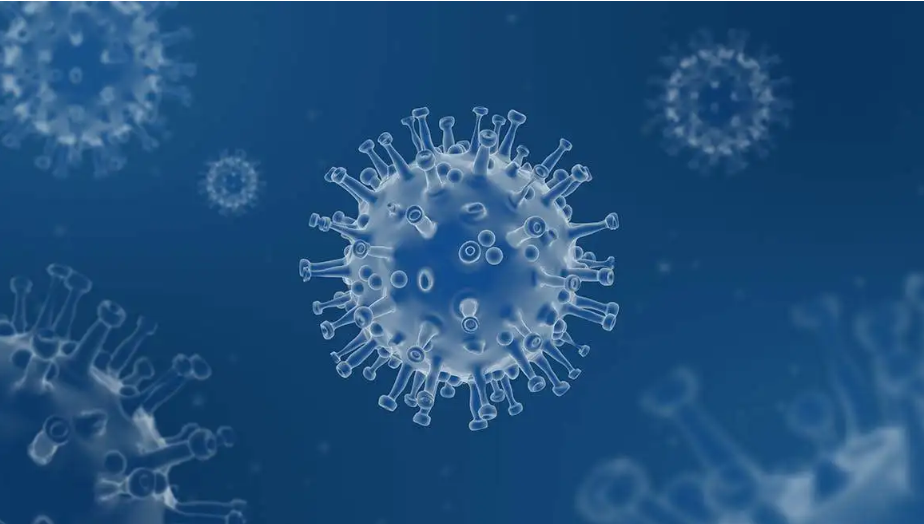 covid -19是什么意思?