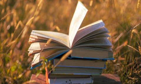 望尘莫及是什么意思啊