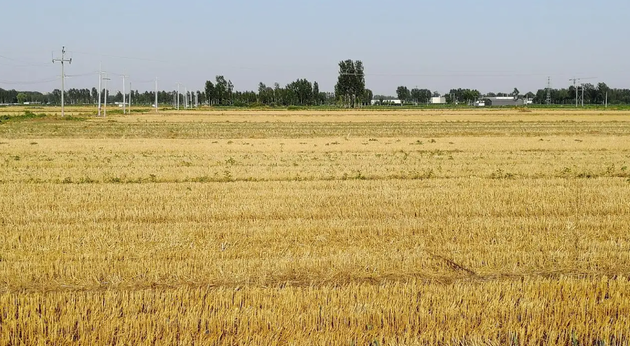 三农问题是指什么