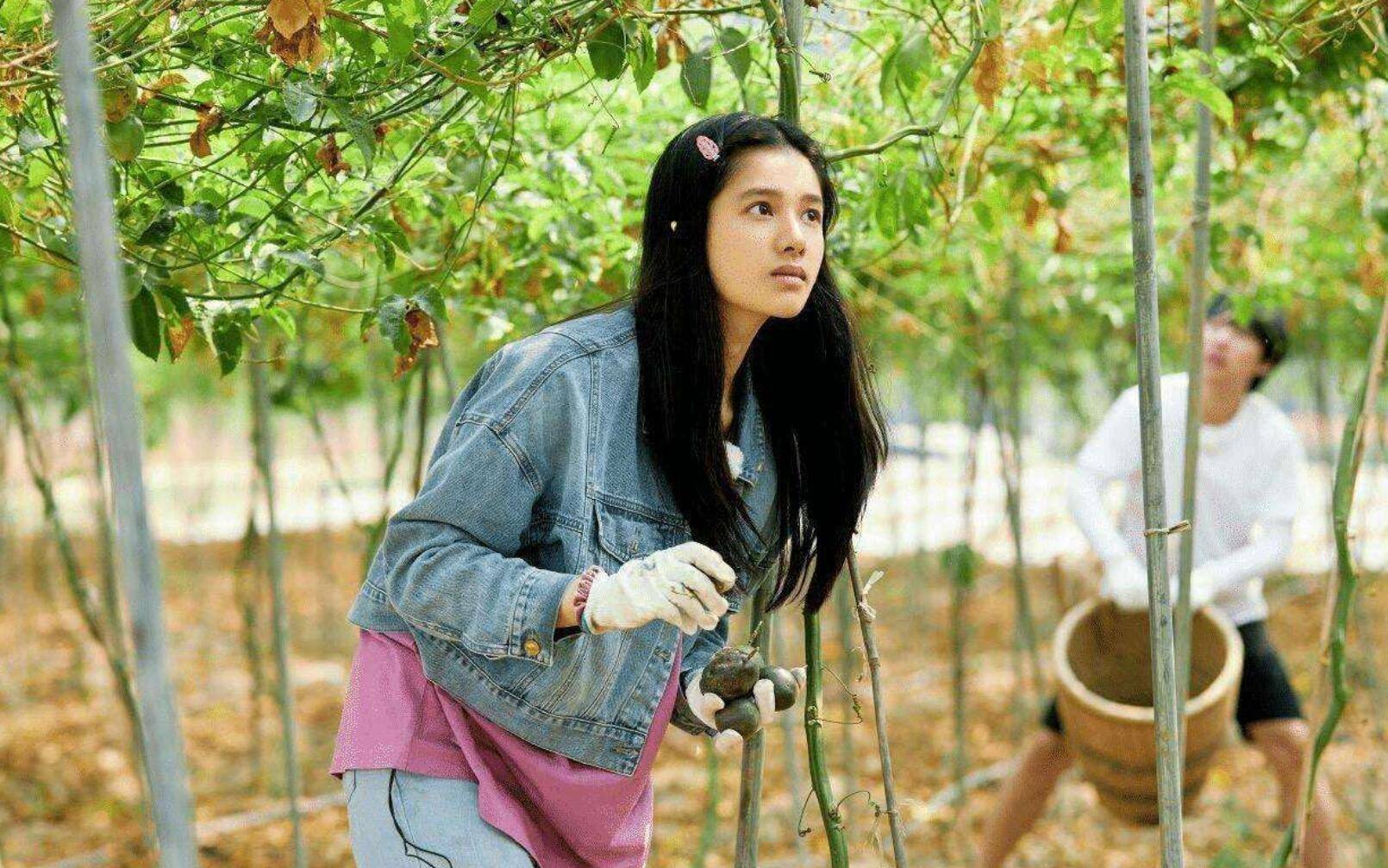 张婧仪多高