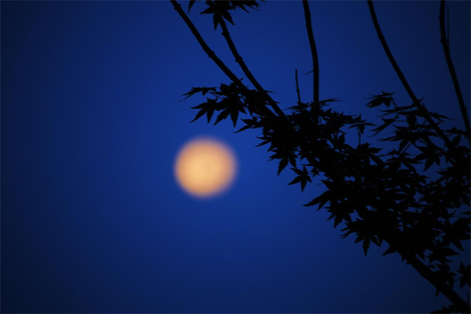 夜宿山寺的意思全解