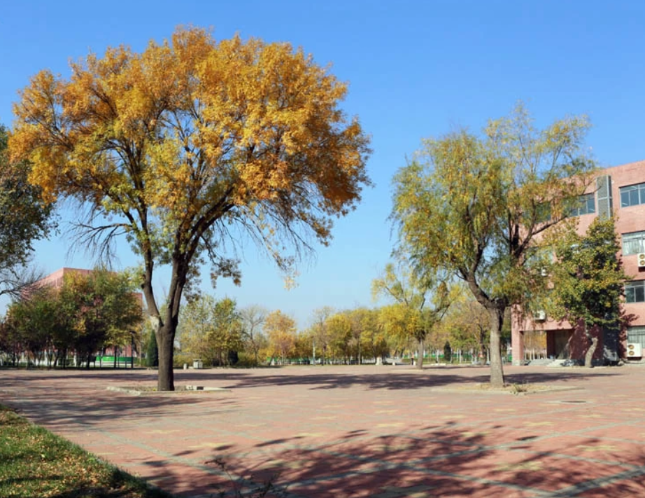 天津理工大学是985还是211