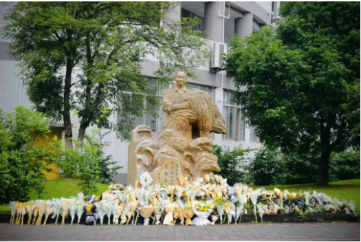 袁隆平是谁