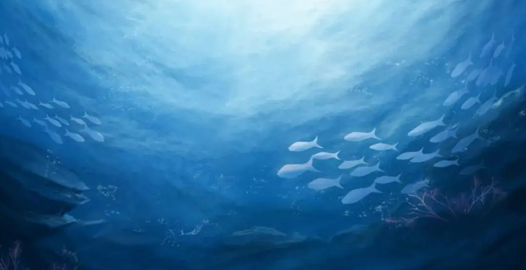 海底两万年的作者是什么