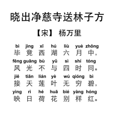 接天莲叶无穷碧出自哪首古诗