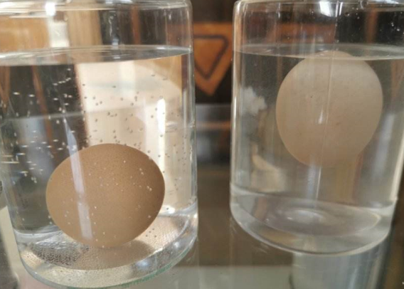 为什么鸡蛋在盐水里面会浮起来