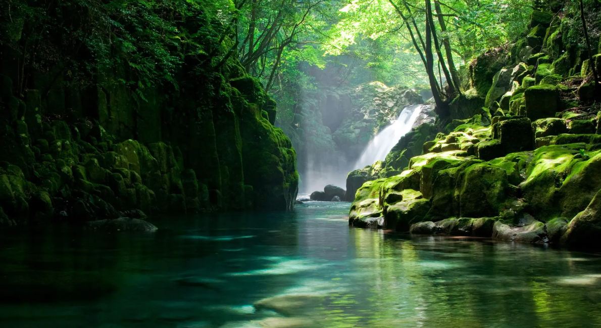 绿得像什么填空