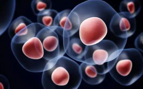 细胞膜是单层膜还是双层膜