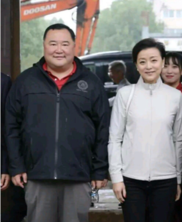 杨澜老公多高