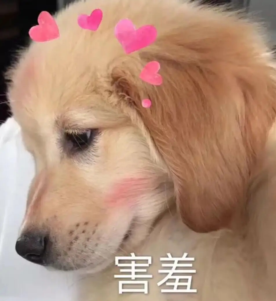 害羞的近义词是什么呢