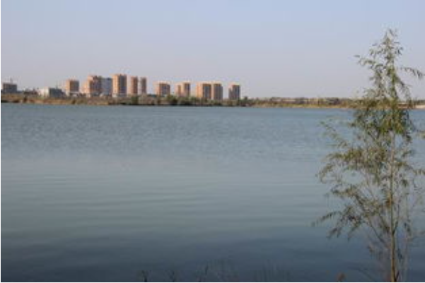 高唐县属于哪个市