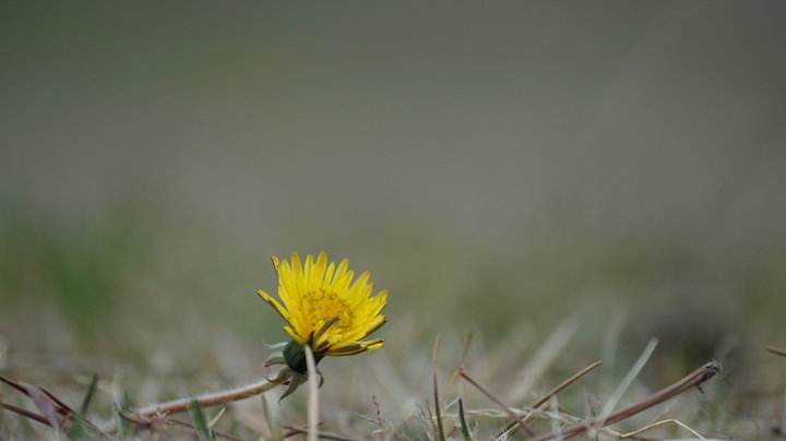 微不足道是什么意思