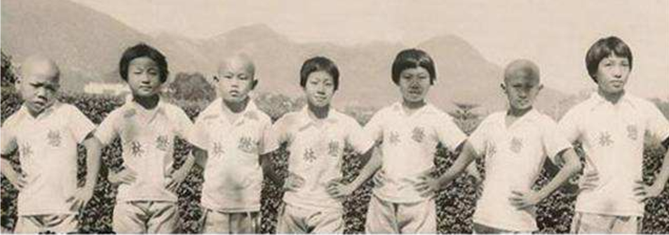 七小福都有谁