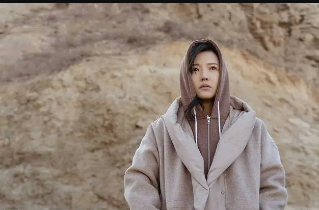 乌海结局为什么要撞妻子