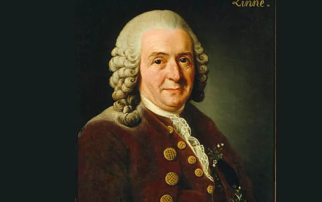 首次把生物分为植物界和动物界两件的是谁