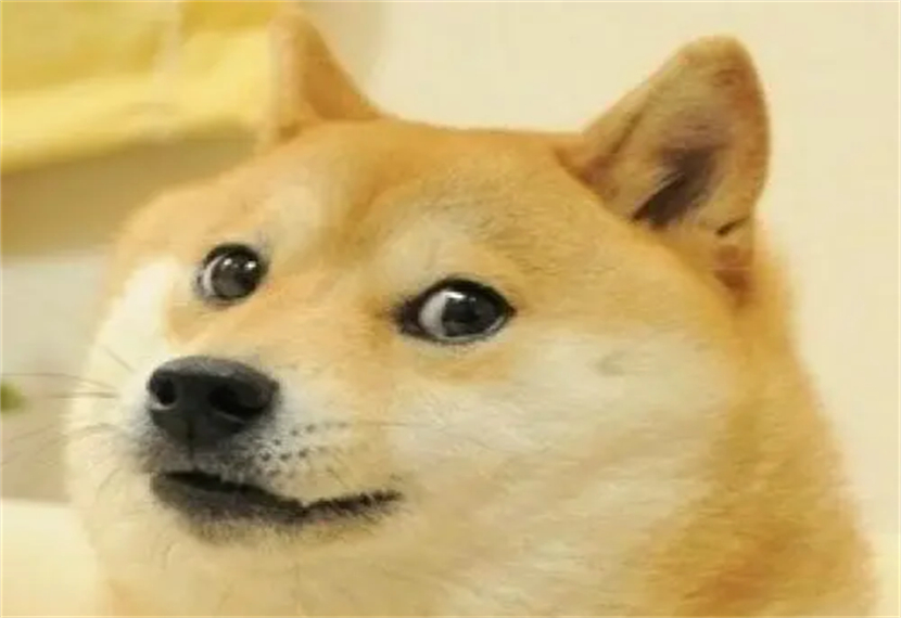 doge是什么意思