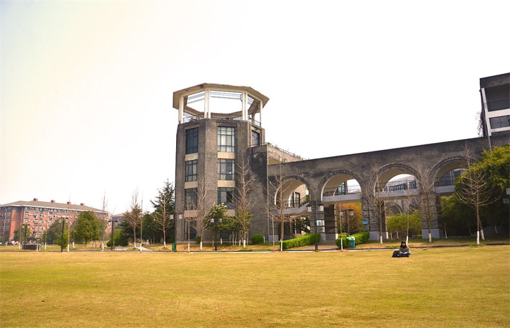 中外合作办学是什么意思