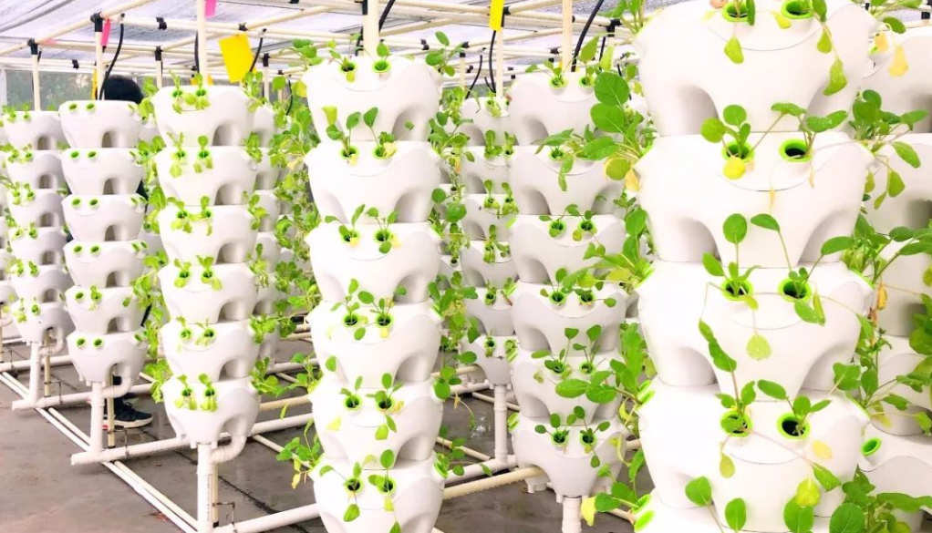 无土栽培是什么意思