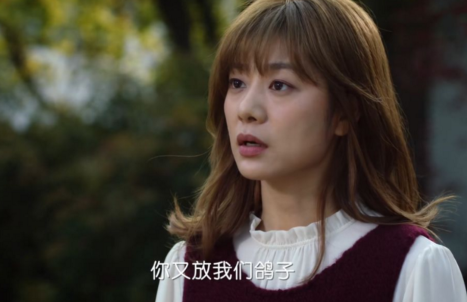 完美伴侣多少集