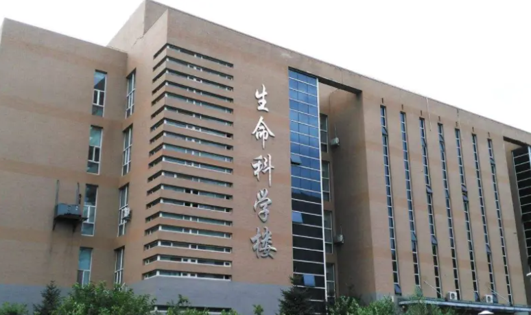 吉林大学是几本大学