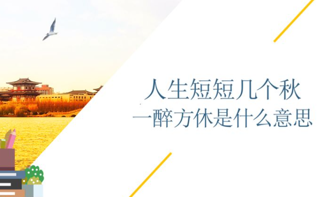 人生短短几个秋不醉不罢休什么歌