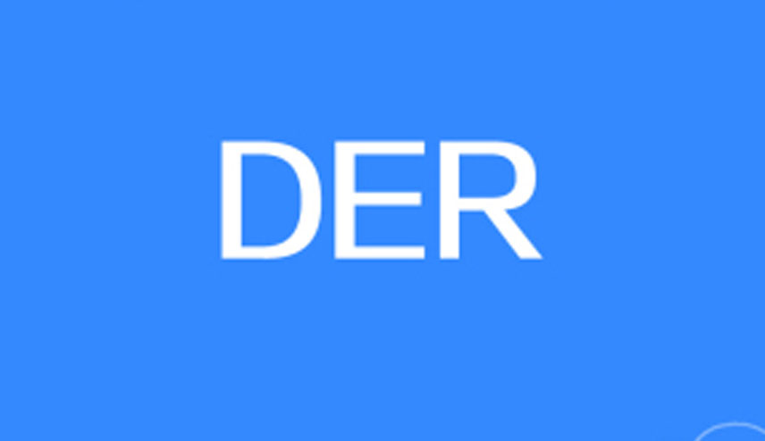 der是什么意思