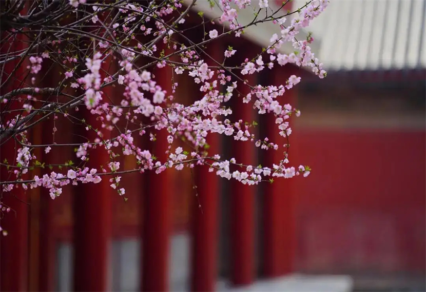 孤芳自赏什么意思