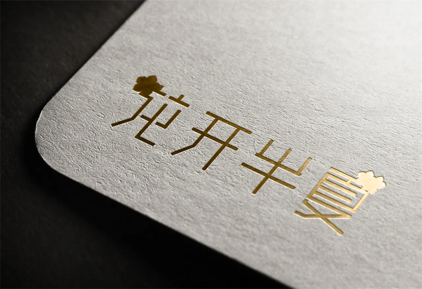魏如风夏如画是什么电视剧
