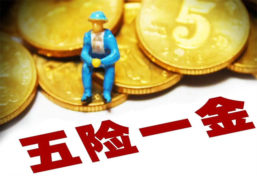 五险一金一金指的是什么