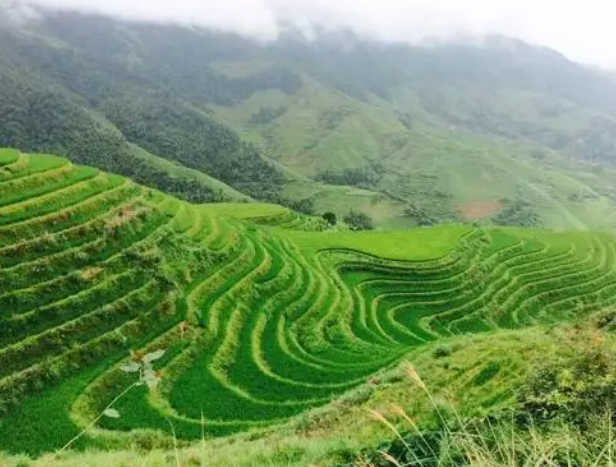 比山高半山腰是哪首歌