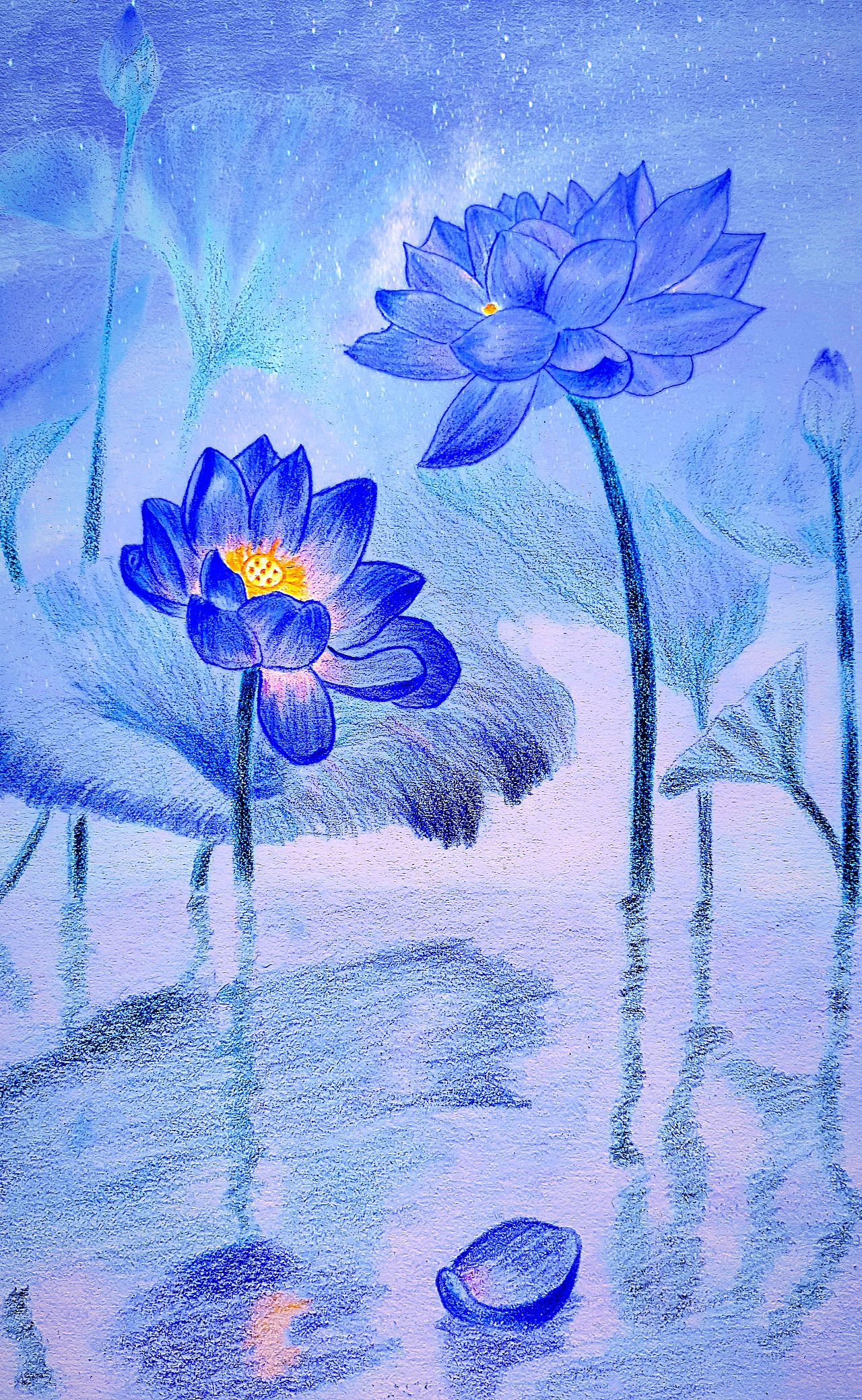 蓝莲花是谁的歌