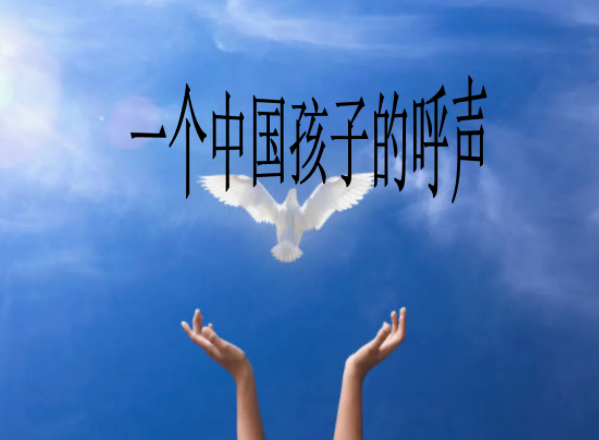 一个中国孩子的呼声是几年级第几课
