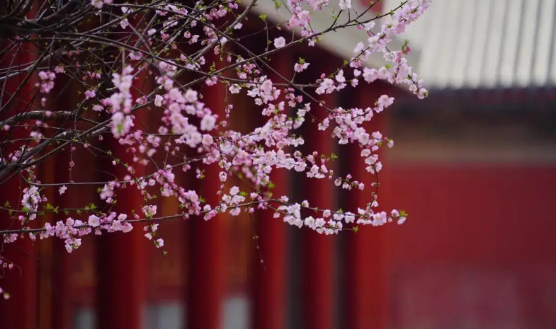 逆风如解意 容易莫摧残什么意思