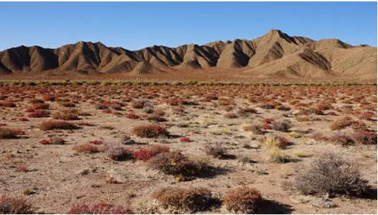 柴达木盆地位于我国的哪里？