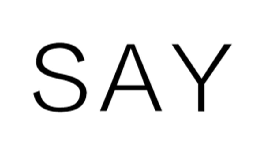 say是什么意思