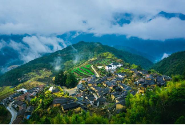 被称为中国香菇之乡的地方在浙江省哪里