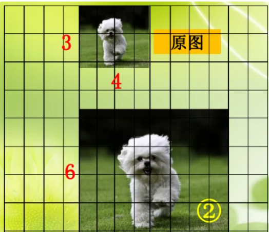 2比1是放大还是缩小