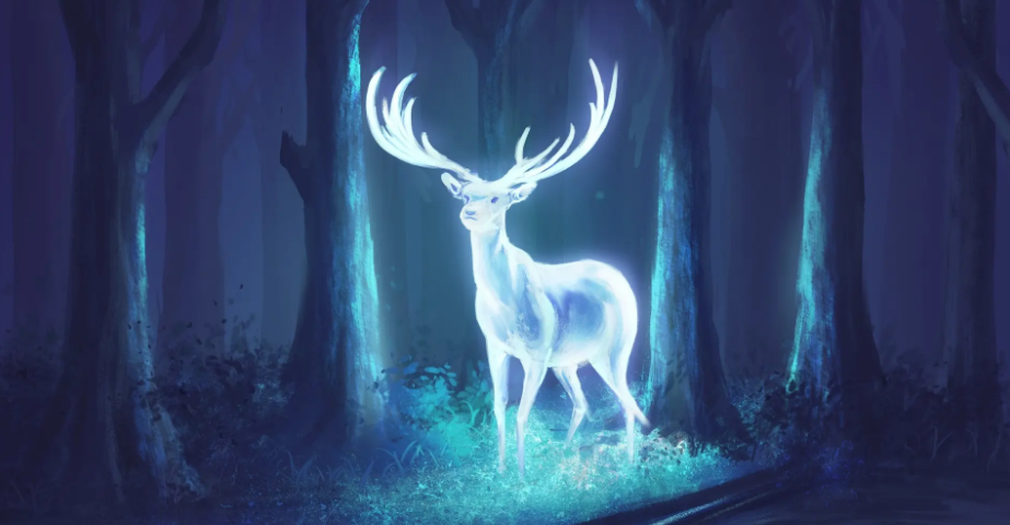 鹿角和鹿腿的道理是什么