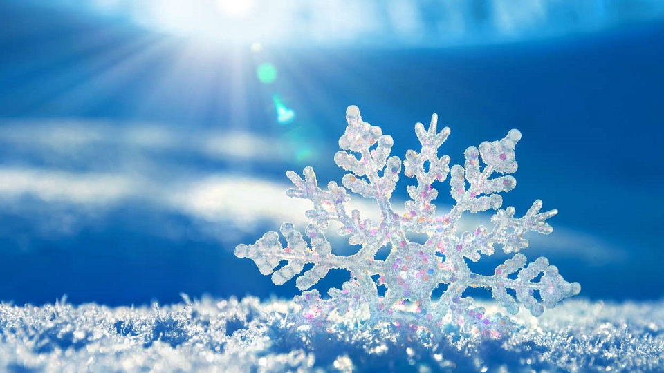 咏雪选自世说新语哪一篇