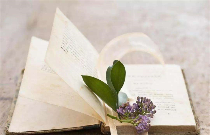 update是什么意思