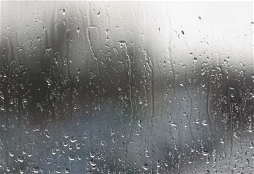 回南天什么意思