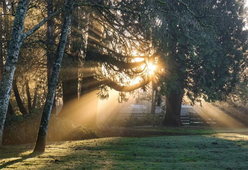 孤独的反义词是什么