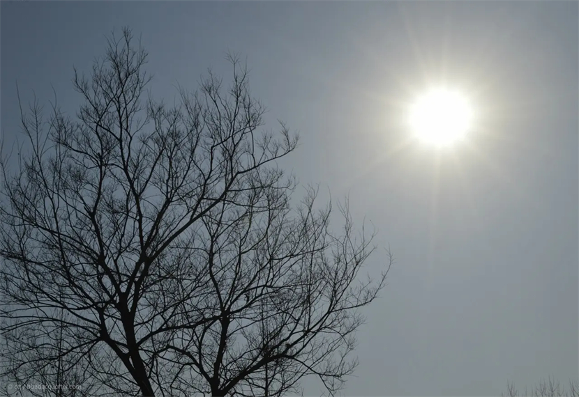 红得什么四字词语