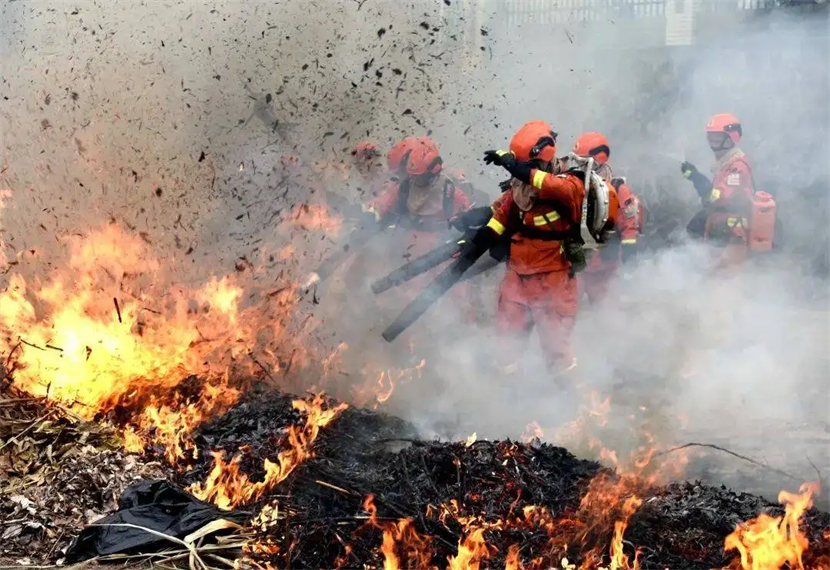 当遇到火灾时应迅速向什么逃离