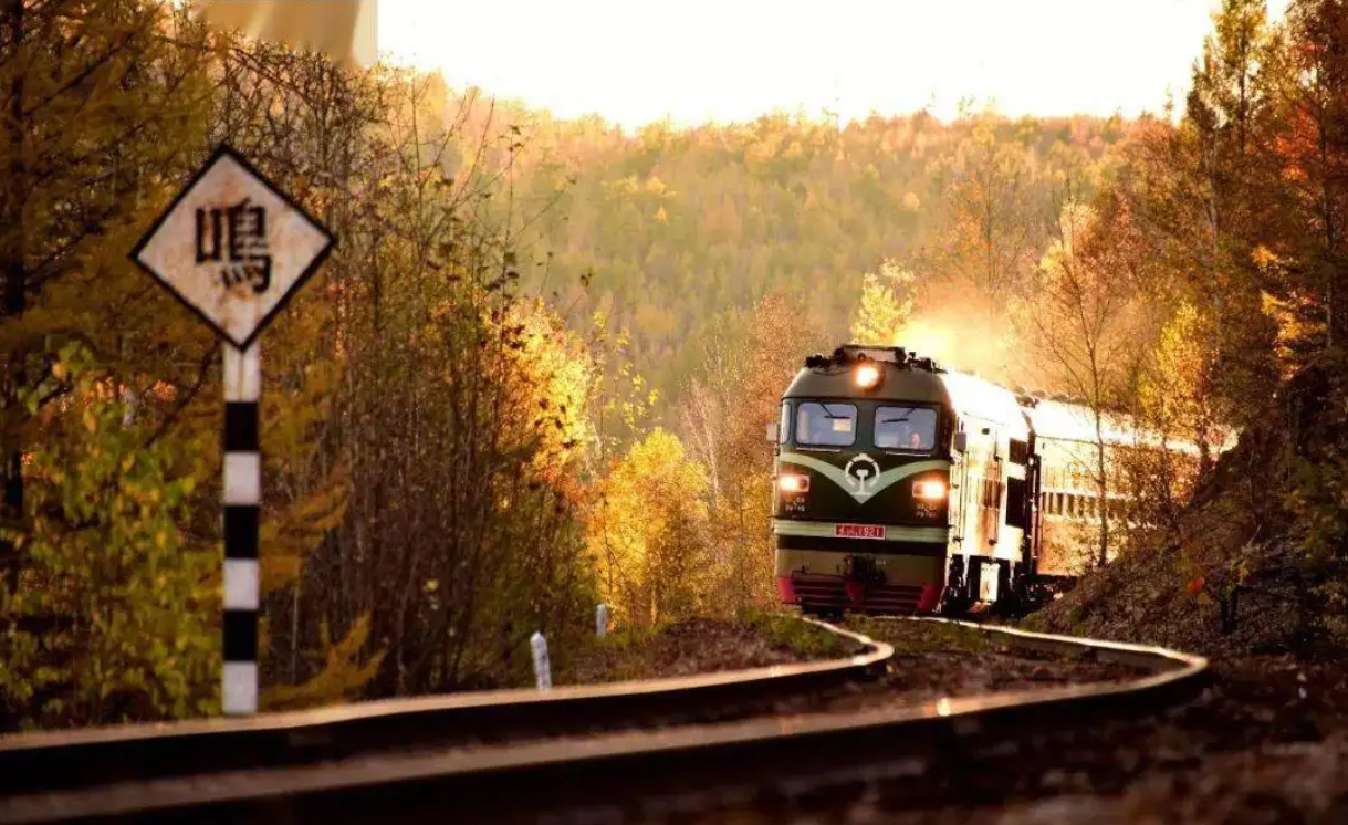 train是什么意思