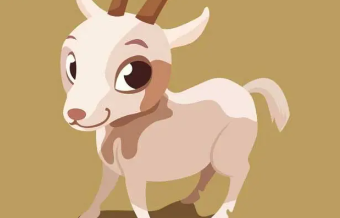 真人不露相是什么生肖