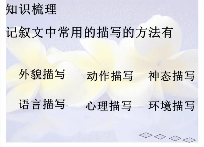 描写手法有哪些