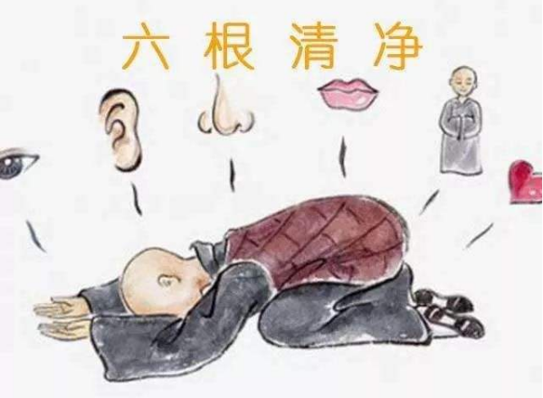 六根清净是哪六根