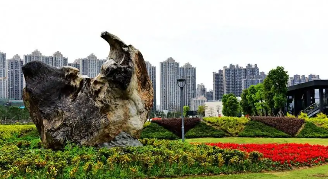 福建属于华南还是华东